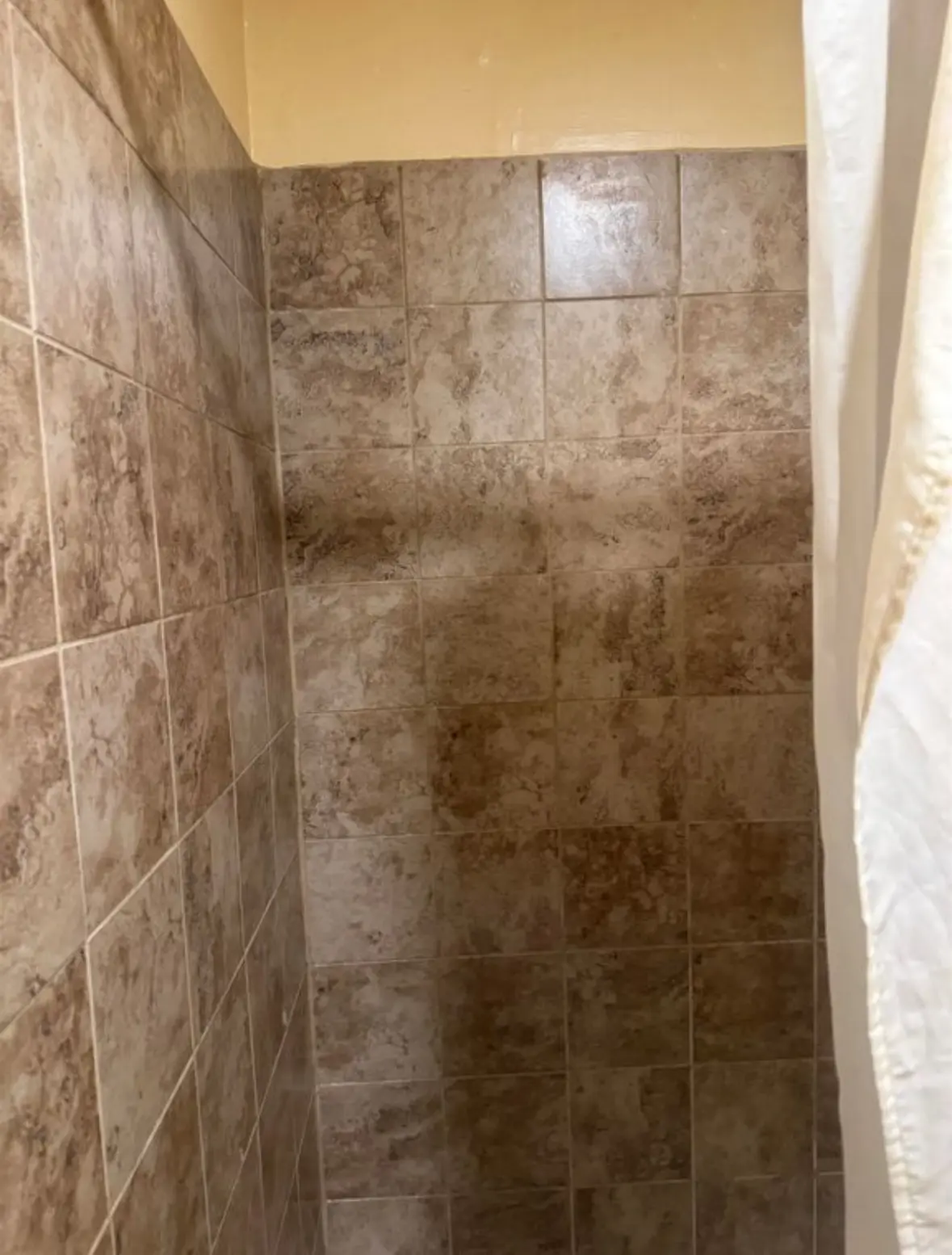 Westwood Gem – Four Beds and Two Baths!